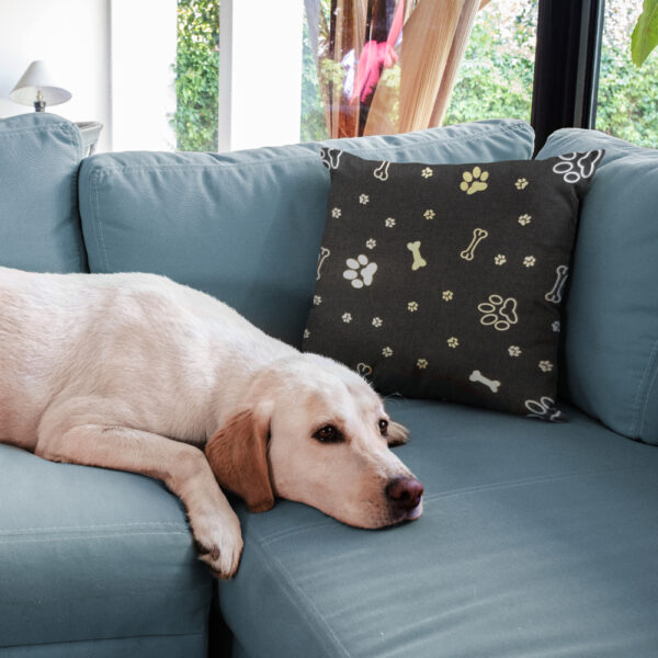 OXFORD 330D - Knochen Pfoten Hund Gold Metallic – Bild 4