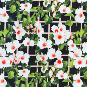 ox t d172 blumen pavillon novely oxford polyester stoff wasserabweisend outdoor meterware 1.png