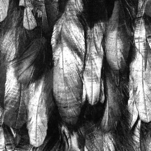 ox t d50 federn schwarz silber novely oxford polyester stoff wasserabweisend outdoor meterware 1.jpg