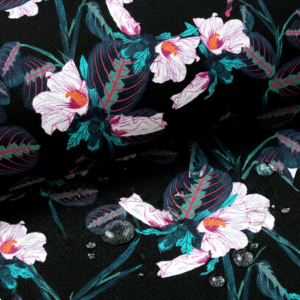 oxford 210d d197 calathea pfeilwurz blüte